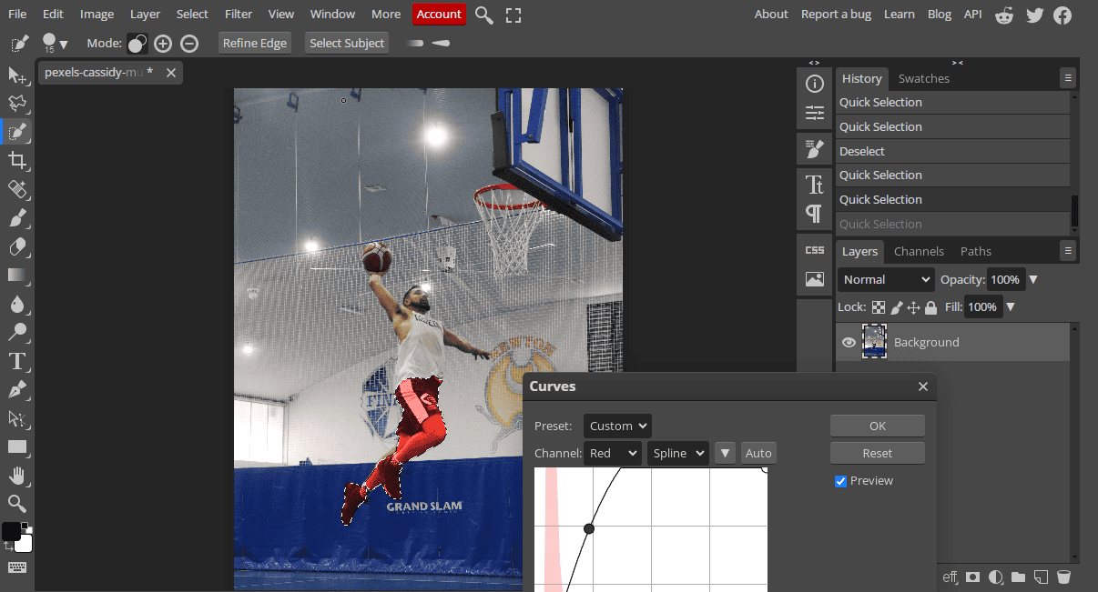 Applying image masking and curves with Photopea