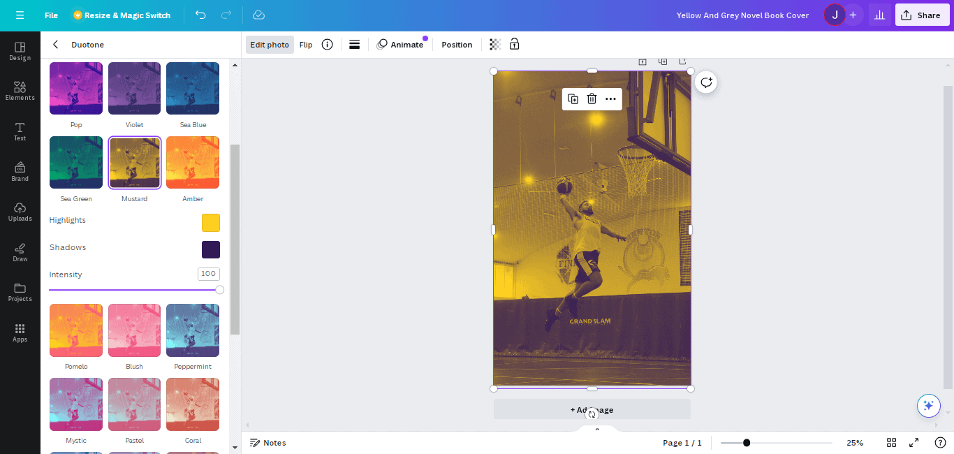 Canva effects and filters 