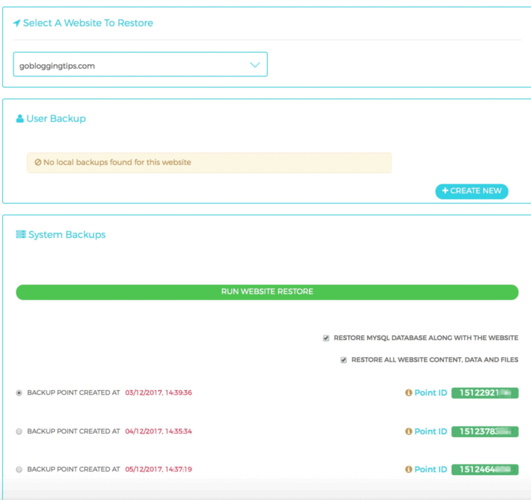 website backup