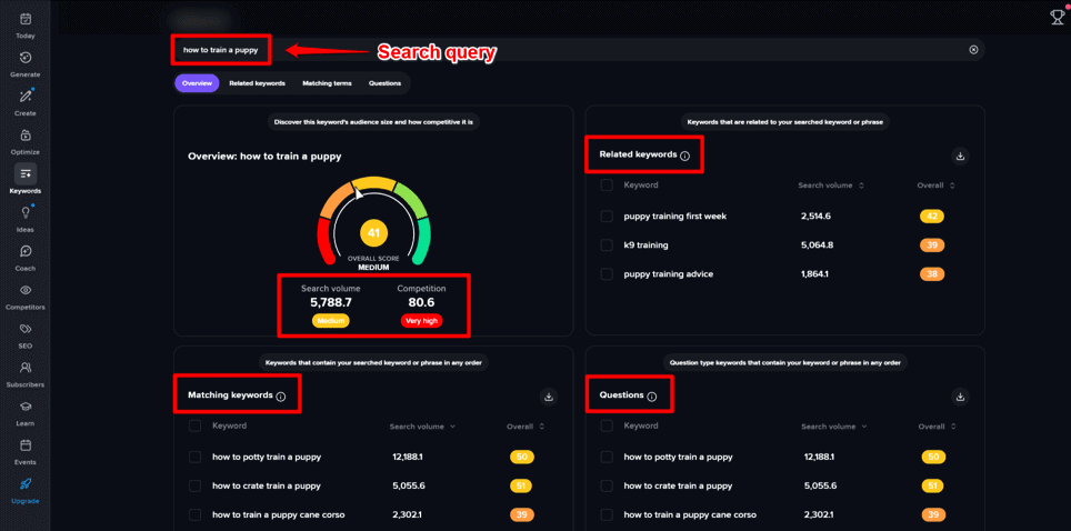 vidIQ keyword search