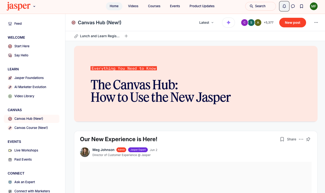 Jasper Canvas workspace