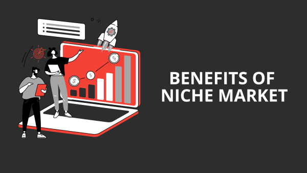 Benefits of niche market