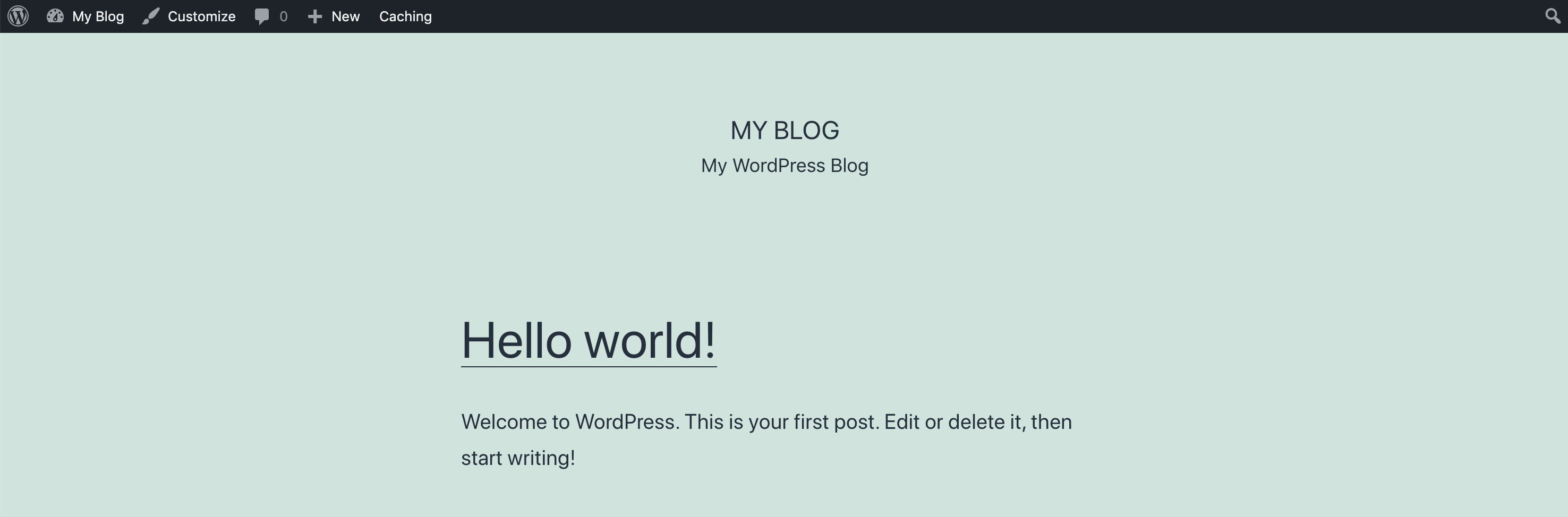 Default WordPress Install