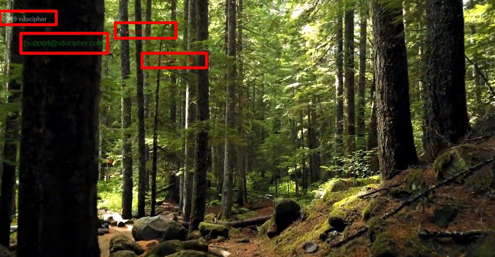 Dynamic watermarks in VdoCipher