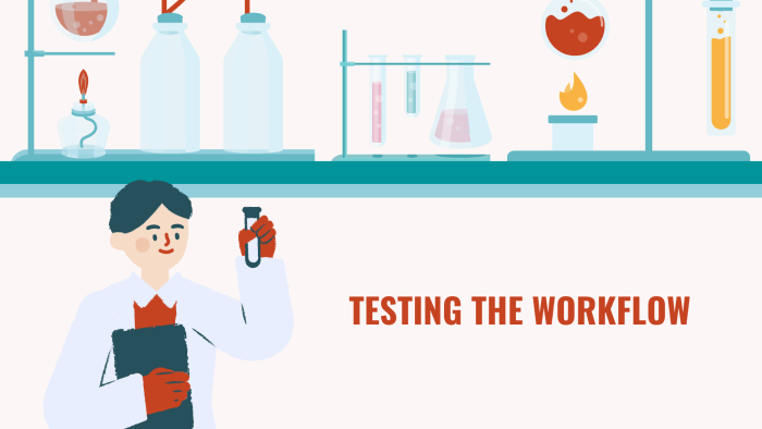 Testing workflow