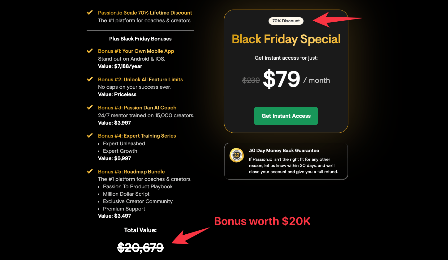 Passion Black Friday pricing