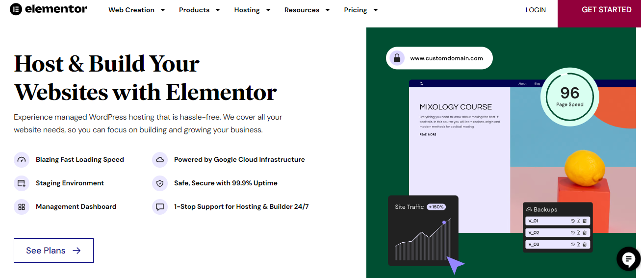 Elementor Website