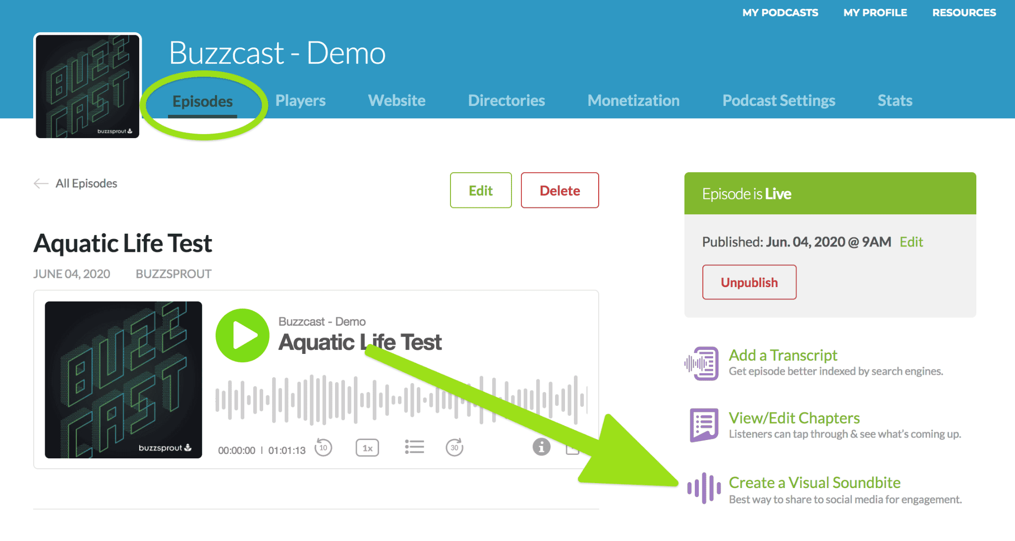 creating visual soundbites in buzzsprout 1
