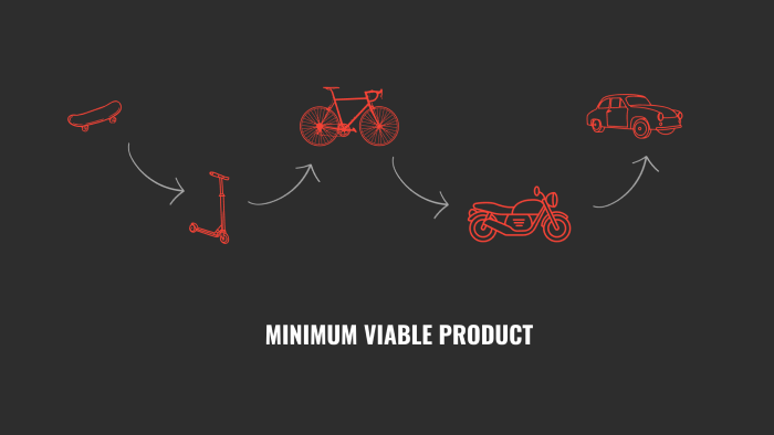 Minimum viable product